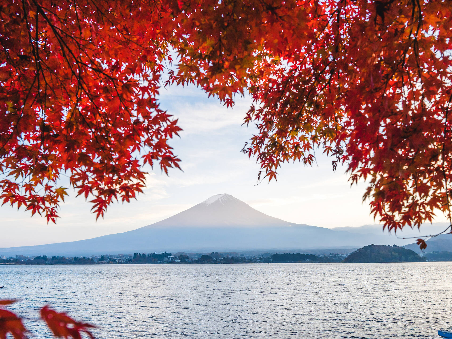 11 best parks and gardens to see the autumn leaves in Tokyo