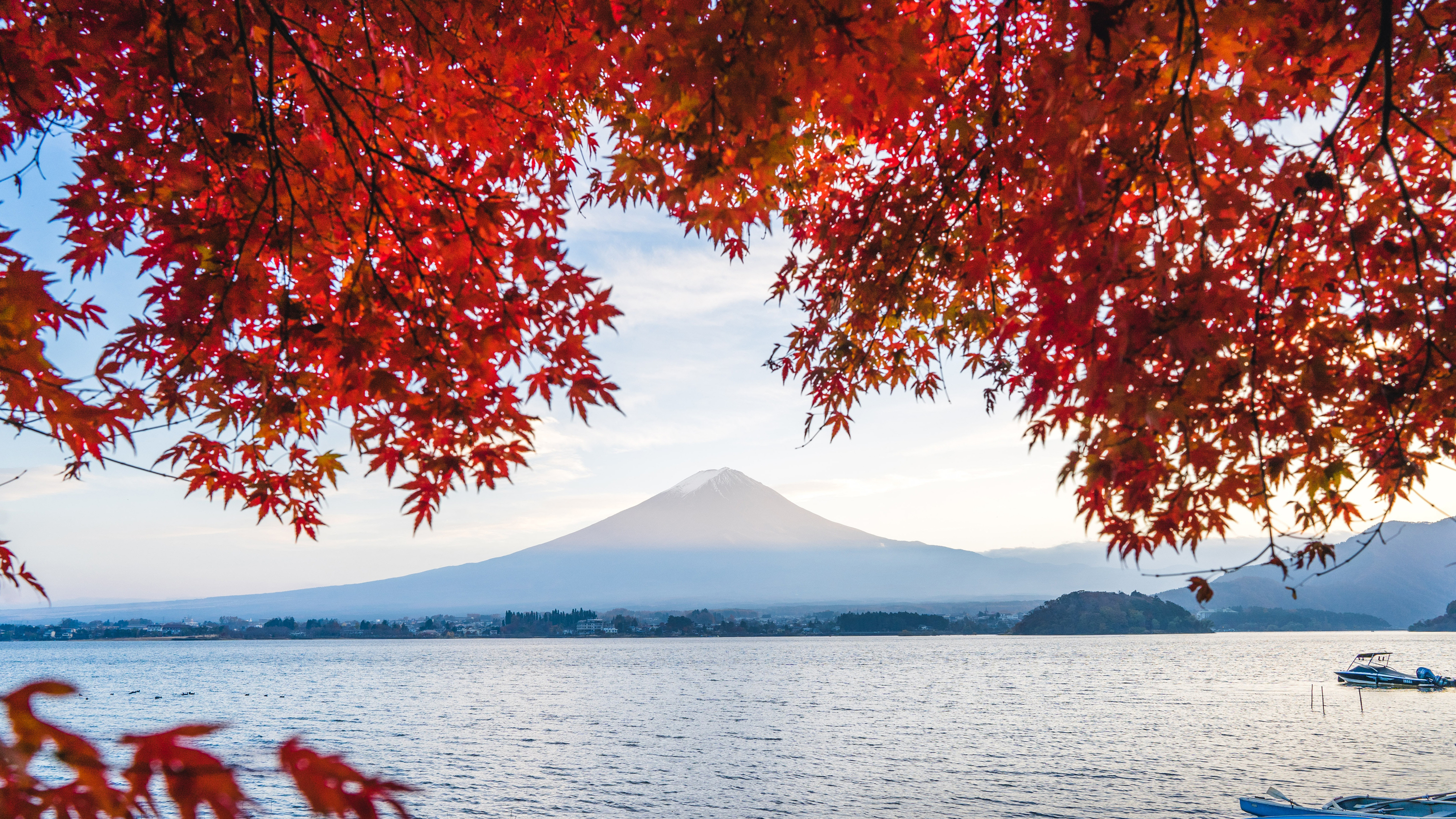 紅葉情報が解禁 東京は11月中旬がピーク 紅葉情報が解禁 東京は11月中旬がピーク