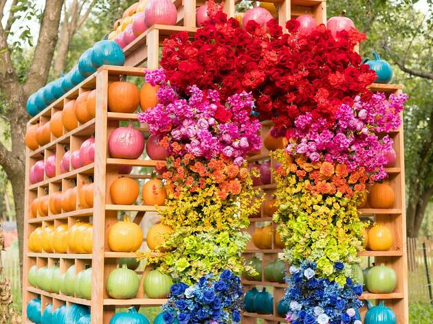 Floral Escape Floral Escape
