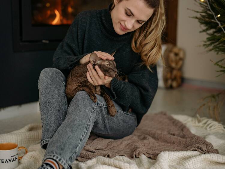 A woman sitting on the floor petting a cat.