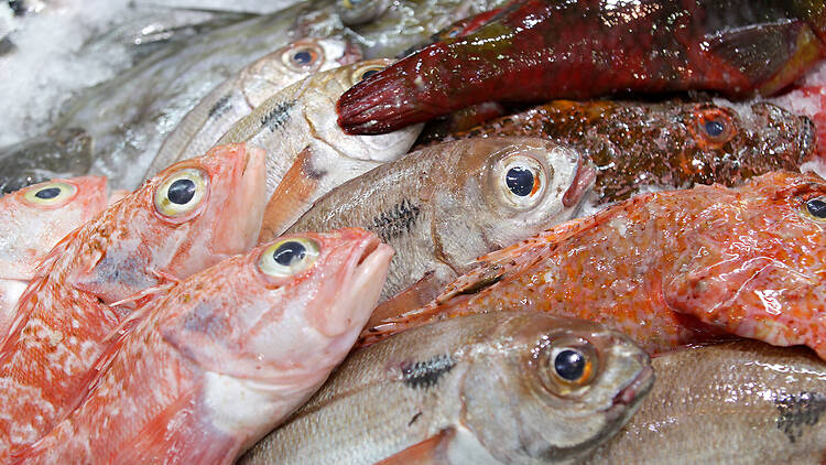 Restaurante, Peixe, Senhor Peixe, Parque das Nações