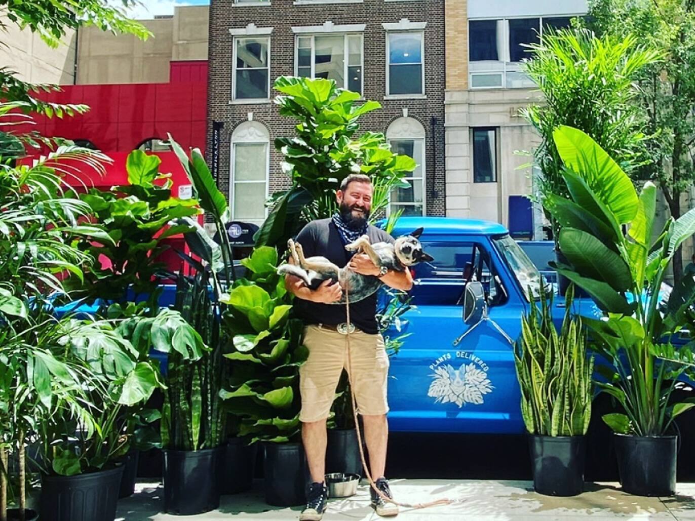 14 Chicago Plant Stores For Finding Home Greenery