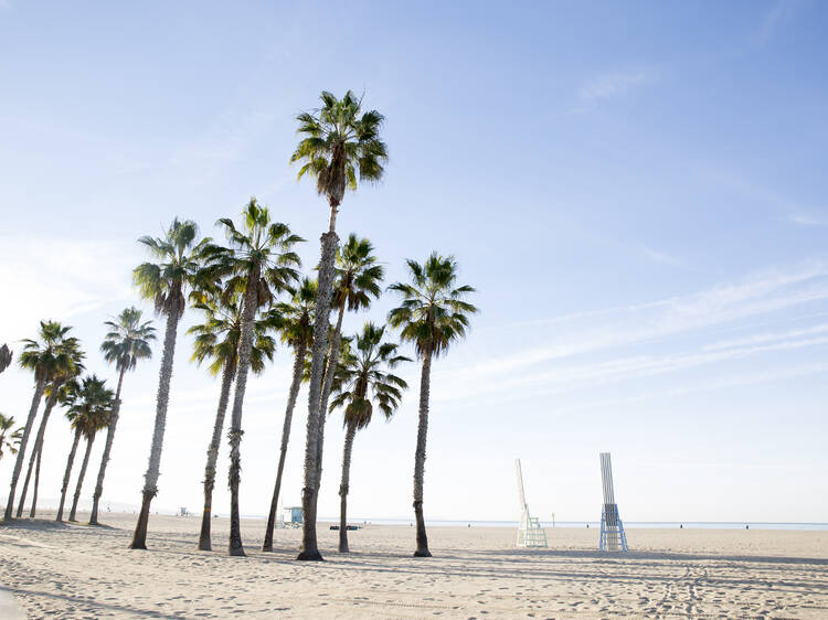 14 ways to unplug and get outside in Santa Monica right now