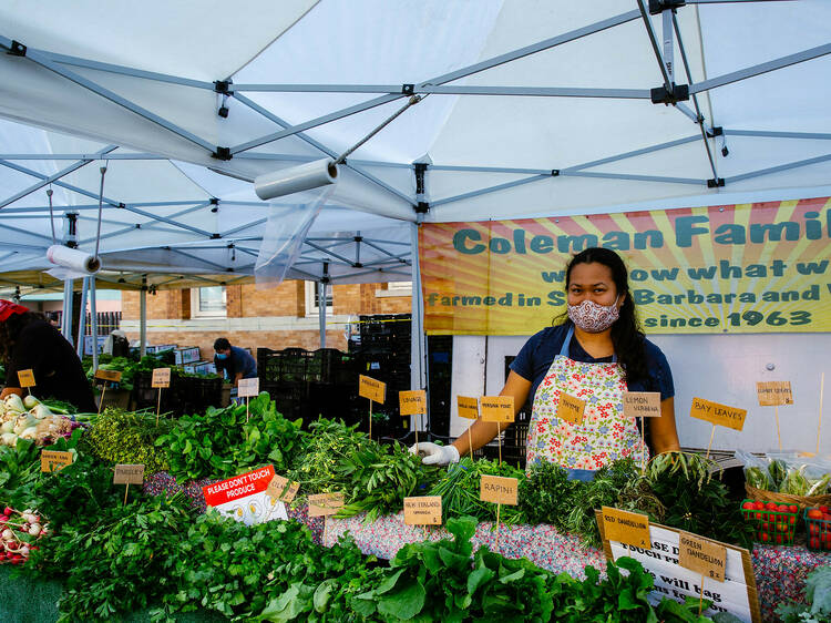 Stock up on fresh produce at the Santa Monica Farmers’ Market