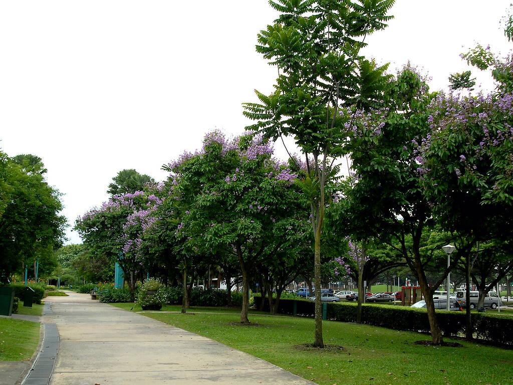 18 Best Parks And Beaches For Picnics In Singapore