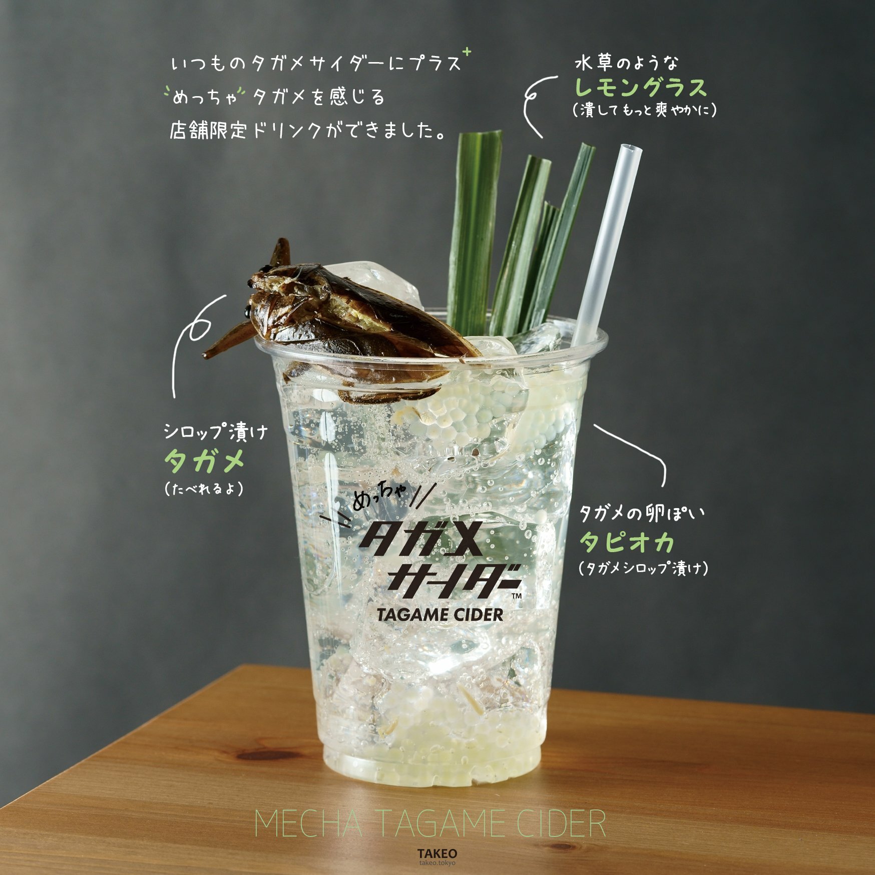TAKE-NOKO