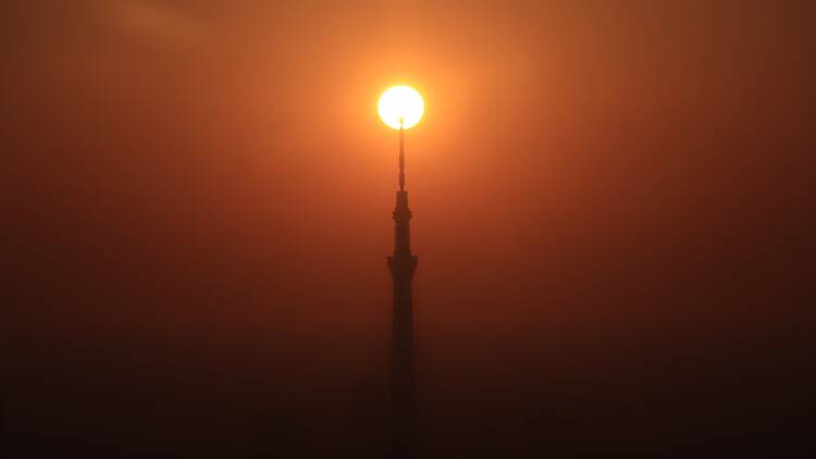 Diamond Skytree Diamond Skytree