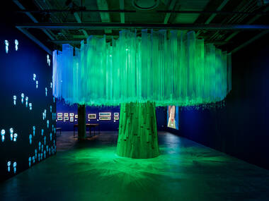 The Hayao Miyazaki retrospective at the Academy Museum is a magical forest of Ghibli goodness The Hayao Miyazaki retrospective at the Academy Museum is a magical forest of Ghibli goodness