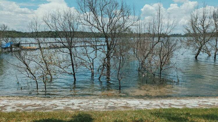 Seletar Fishing Village