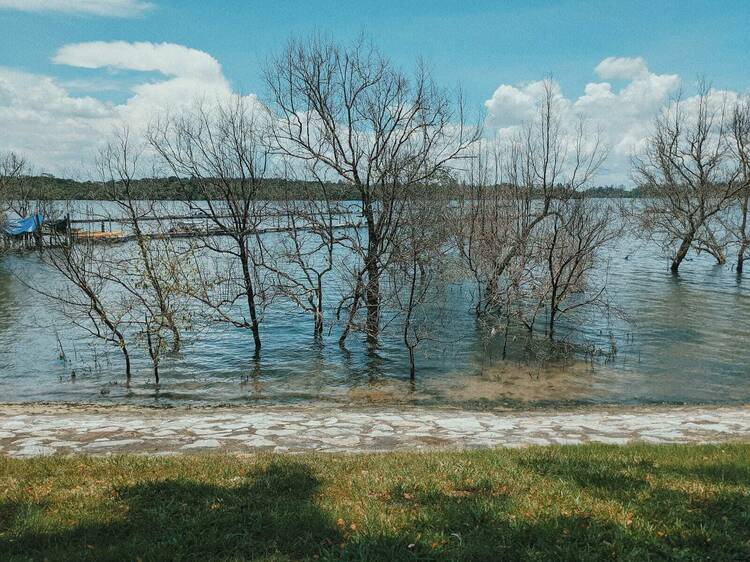 Seletar Fishing Village