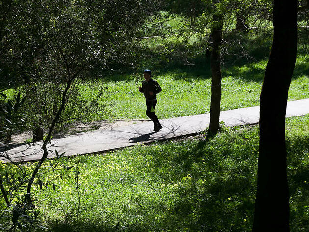 Parque José Gomes Ferreira Parque José Gomes Ferreira