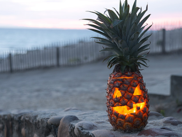 Make a jack-o lantern