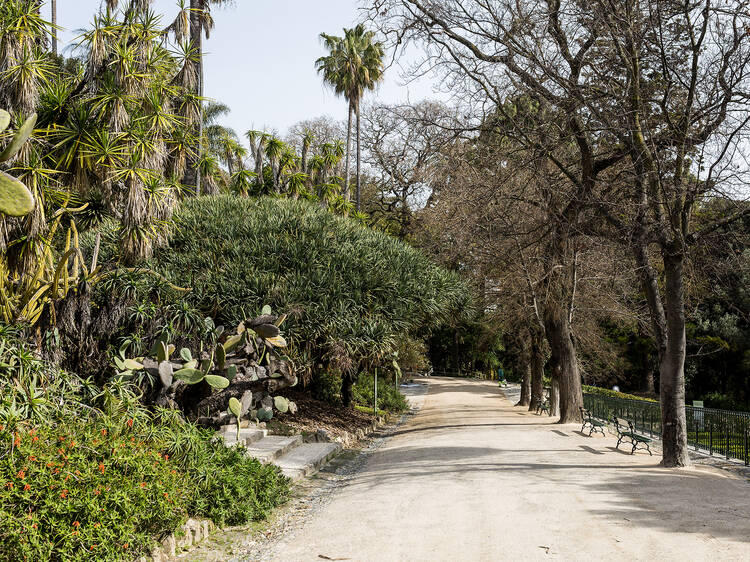 Jardim Botânico