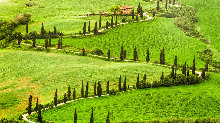 The hills of Tuscany