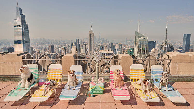 Sunbathers, Top of the Rock