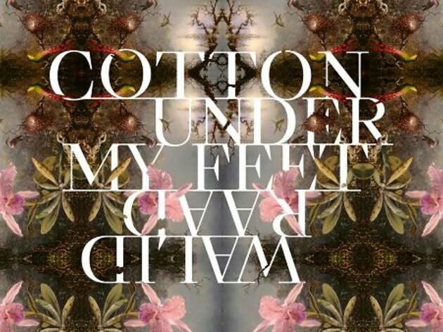 Cotton Under My Feet. Walid Raad (Thyssen) Cotton Under My Feet. Walid Raad (Thyssen)