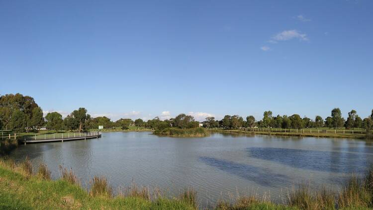 The lake in Elsternwick Park