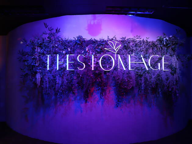 The Stone Age The Stone Age