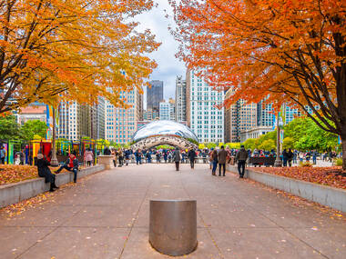 The best things to do in Chicago this fall
