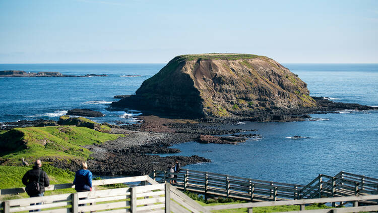 Two people standing on the lookout for the Knobbies on Phillip Island.