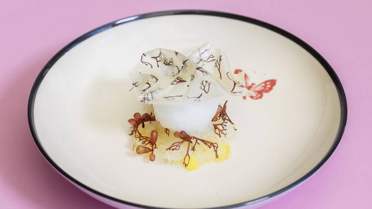 The Salty Water, Foolish Lemon dessert at Gucci Osteria against a pink background.