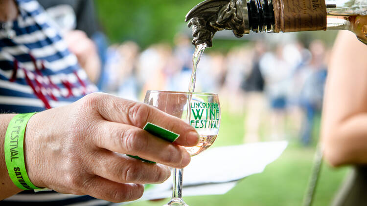 Lincoln Park Wine Fest