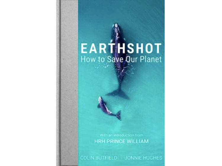 ‘Earthshot: How to Save Our Planet’ by Colin Butfield and Jonnie Hughes