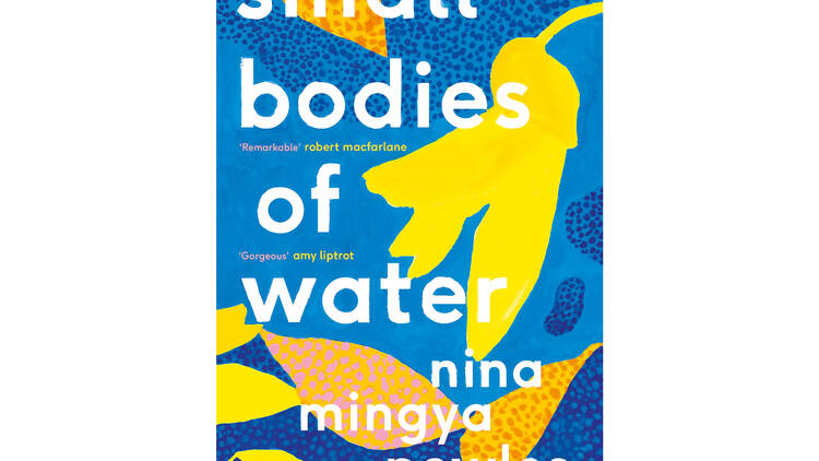 ‘Small Bodies of Water’ by Nina Mingya Powles