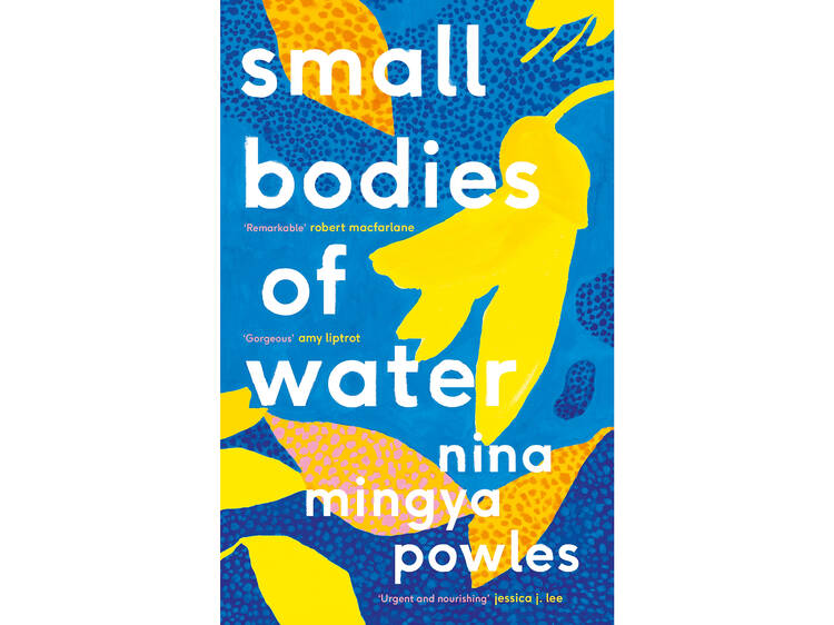 ‘Small Bodies of Water’ by Nina Mingya Powles