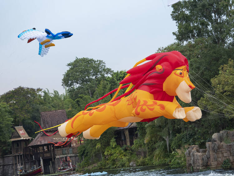 Disney KiteTails, Disney’s Animal Kingdom Theme Park