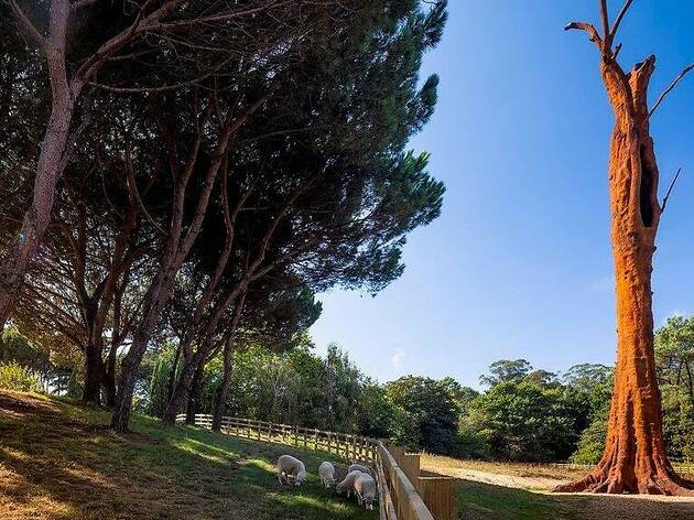 'Pequi Vinagreiro' de Ai Weiwei em Serralves 'Pequi Vinagreiro' de Ai Weiwei em Serralves