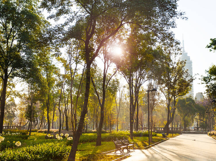 Actividades gratis en agosto 2025 en la CDMX