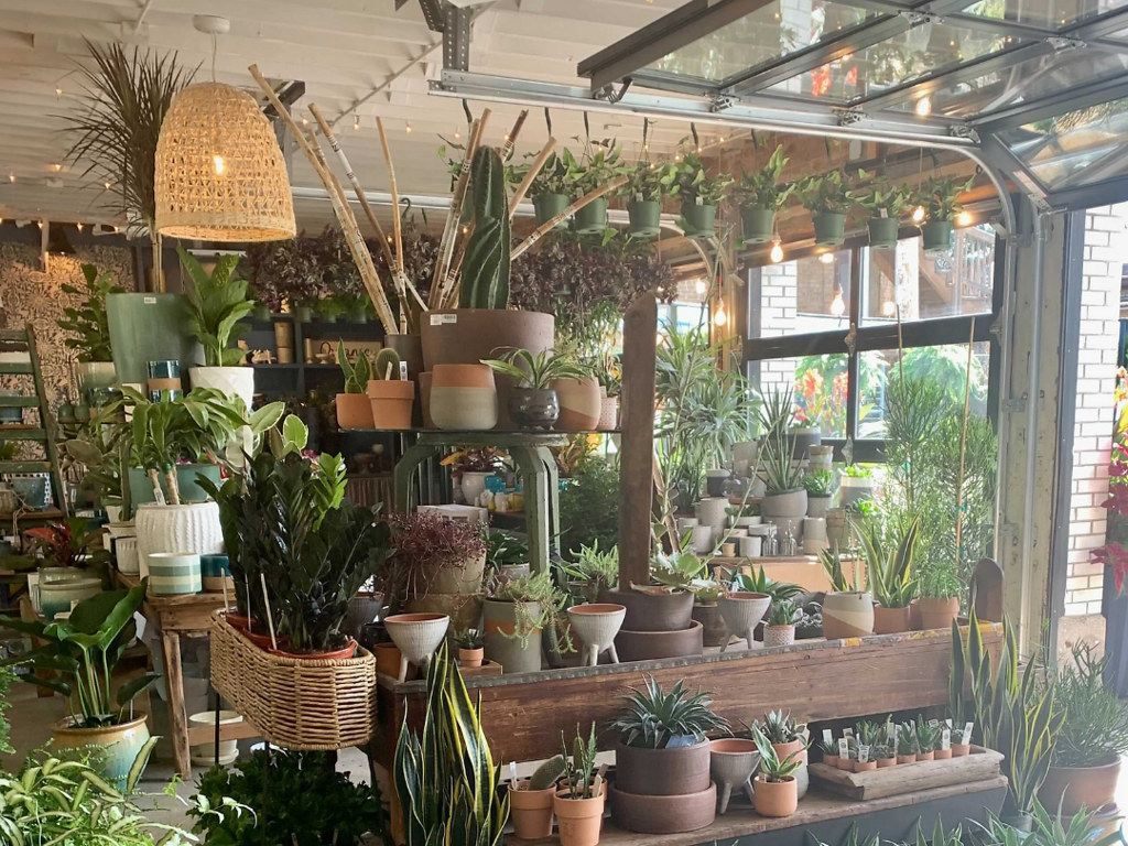 10 Chicago Plant Stores For Finding Home Greenery