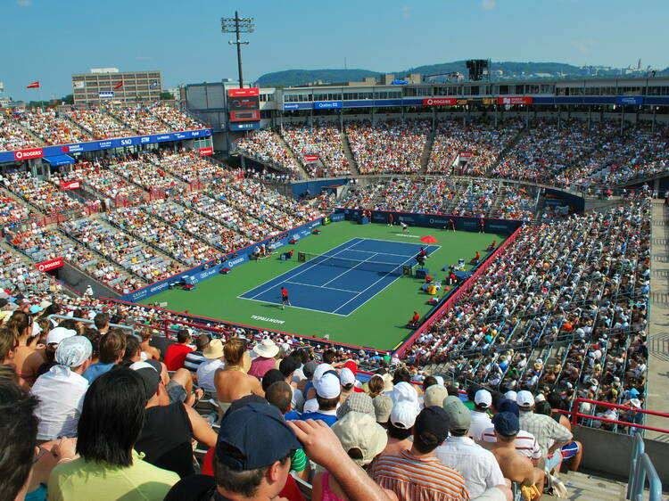 See world-class tennis matches