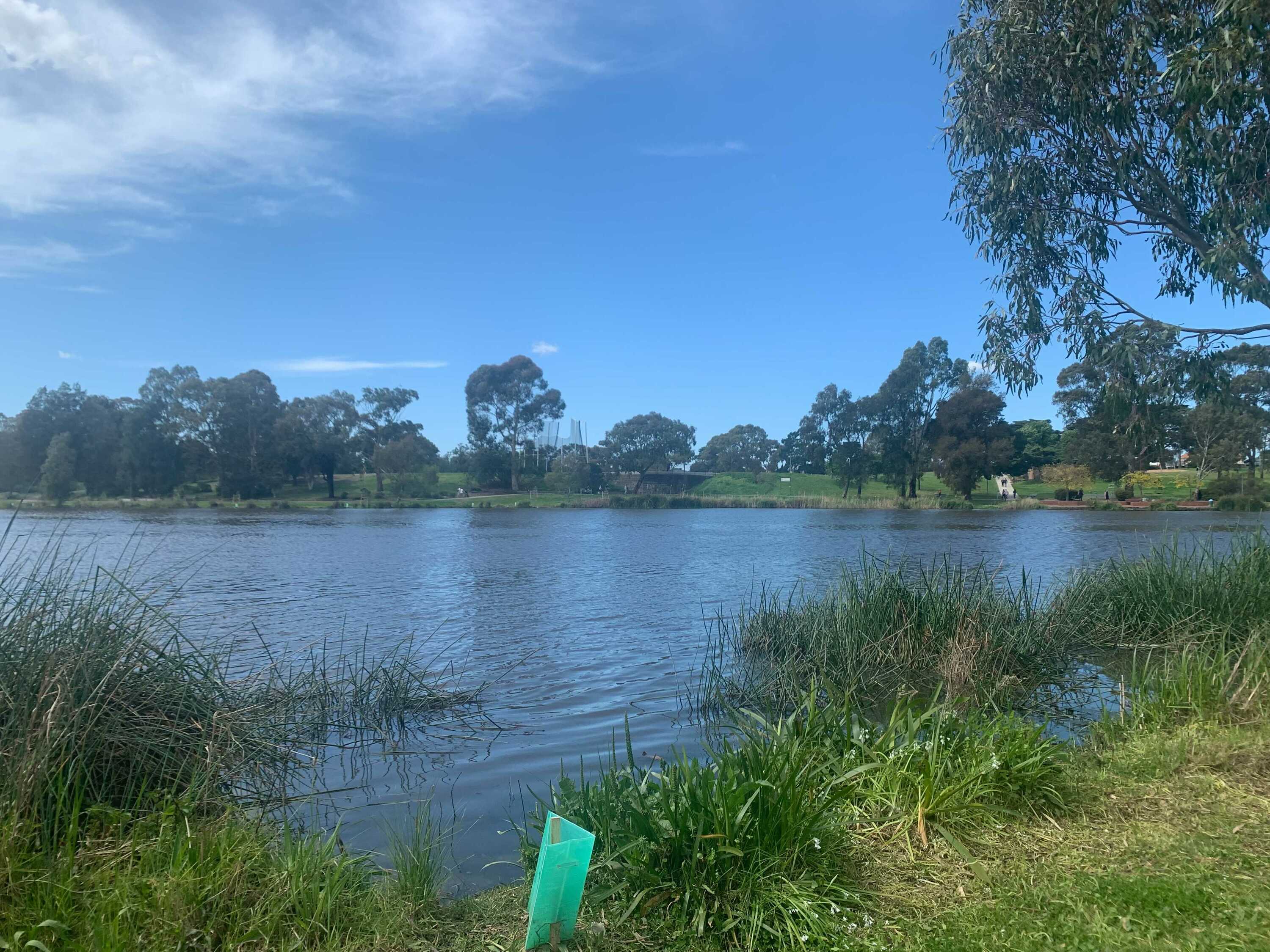 Edwardes Lake Park in Reservoir