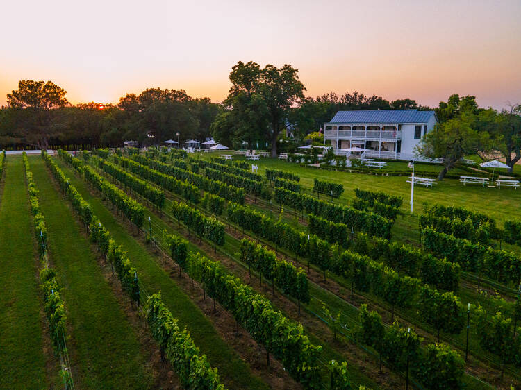 Fredericksburg Winery Texas