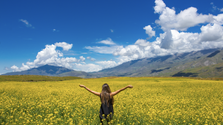 How is Argentina approaching renewable energy in general?