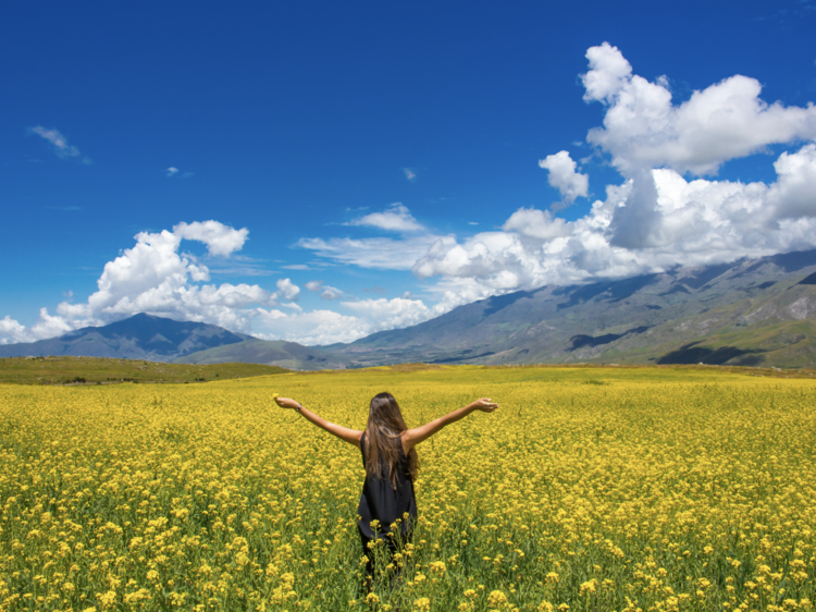 How is Argentina approaching renewable energy in general?