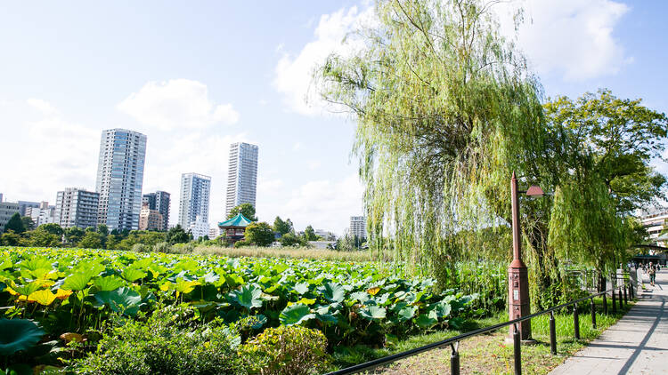 Ueno Park