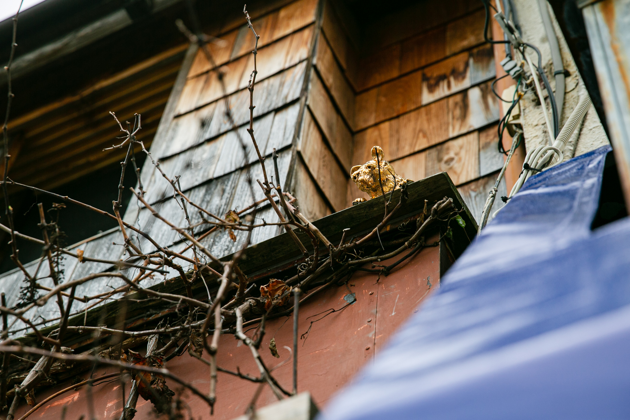 サイドコアの『GOLDEN NEIGHBORS』(金色のネズミ)(Photo:Keisuke Tanigawa)
