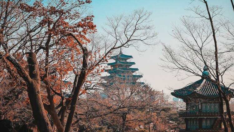 The best things to do in Seoul that aren’t tourist traps