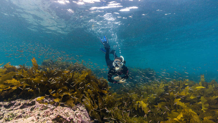 Snorkelling