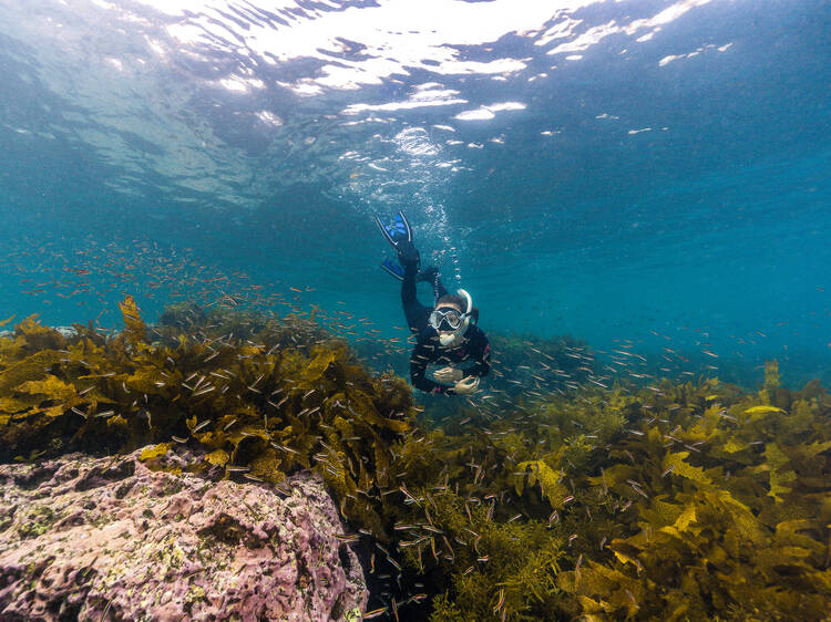 Snorkelling