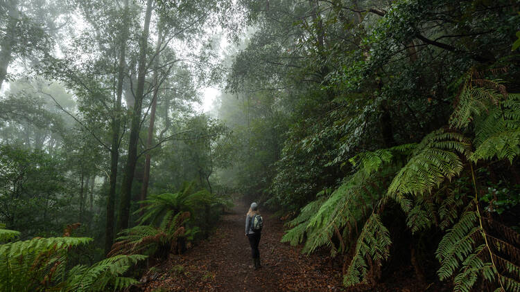 Sydney is a big city, make sure you explore all of it