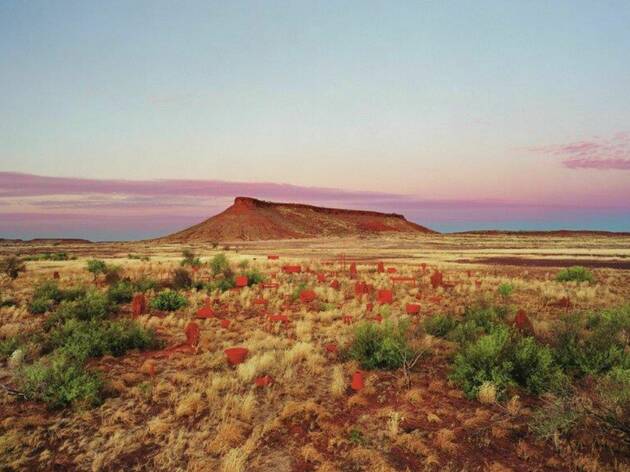 Rosemary Laing, Perspectives on Place, MCA 2021 A stunning pink and blue sunset view of a brumby mound in the Australian outback with red and green shrubbery red dirt and yellow grass