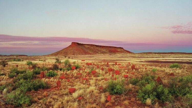 A stunning pink and blue sunset view of a brumby mound in the Australian outback with red and green shrubbery red dirt and yellow grass