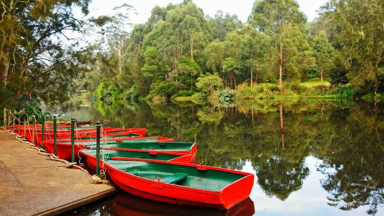 Lane Cove National Park