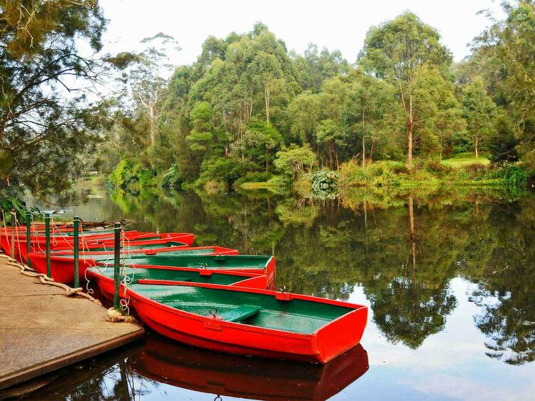 Lane Cove National Park