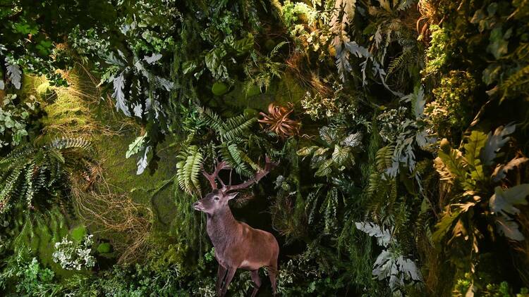 Glenfiddich’s Where Next Experience
