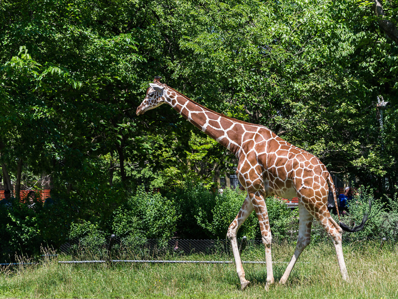 30 Best Zoos In The US For Every Kind Of Wildlife Sighting